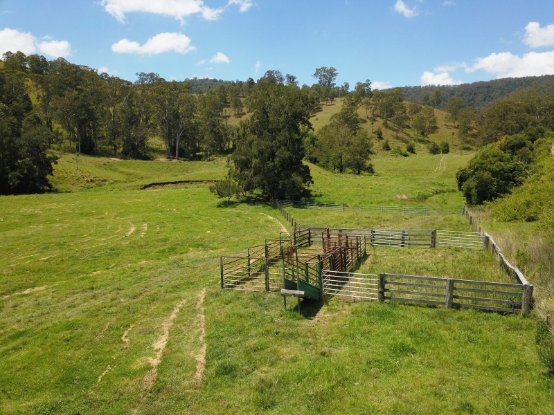1042 Bingleburra Road, Dungog NSW 2420