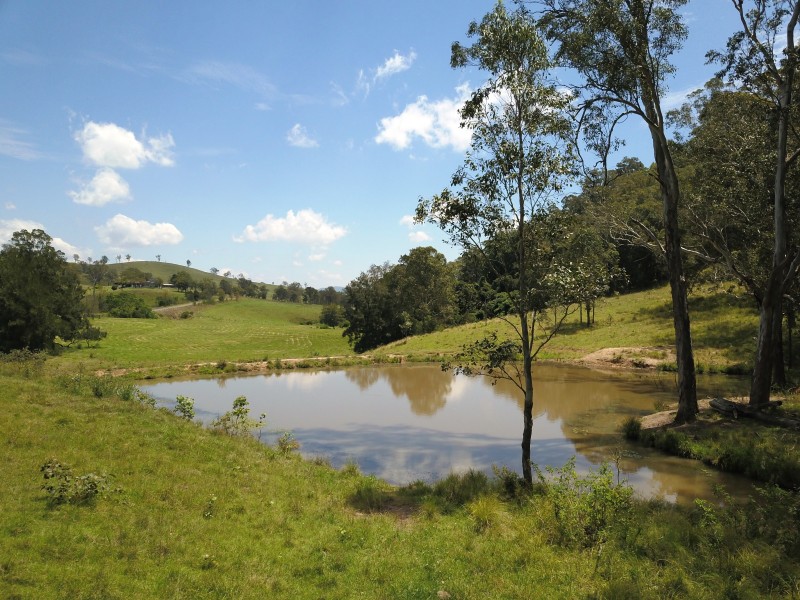 1042 Bingleburra Road, Dungog NSW 2420