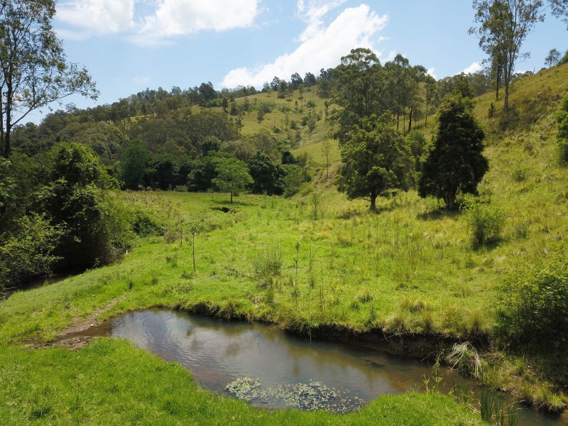 1042 Bingleburra Road, Dungog NSW 2420