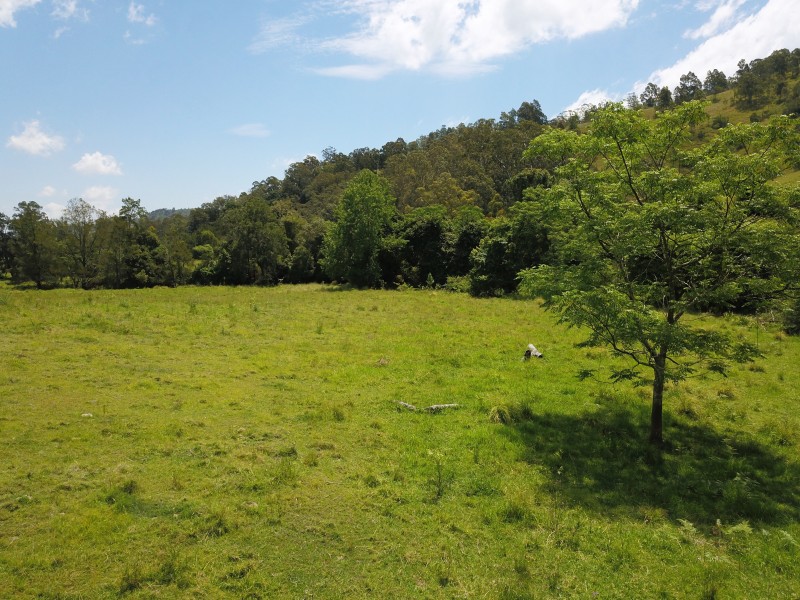 1042 Bingleburra Road, Dungog NSW 2420