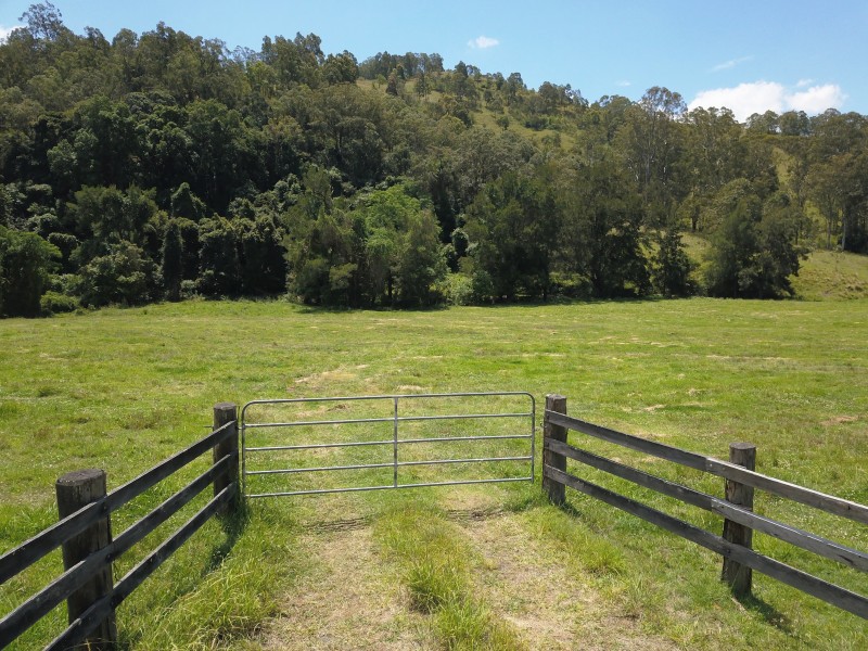 1042 Bingleburra Road, Dungog NSW 2420