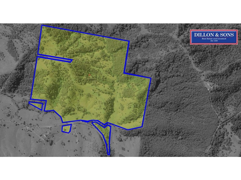 1042 Bingleburra Road, Dungog NSW 2420