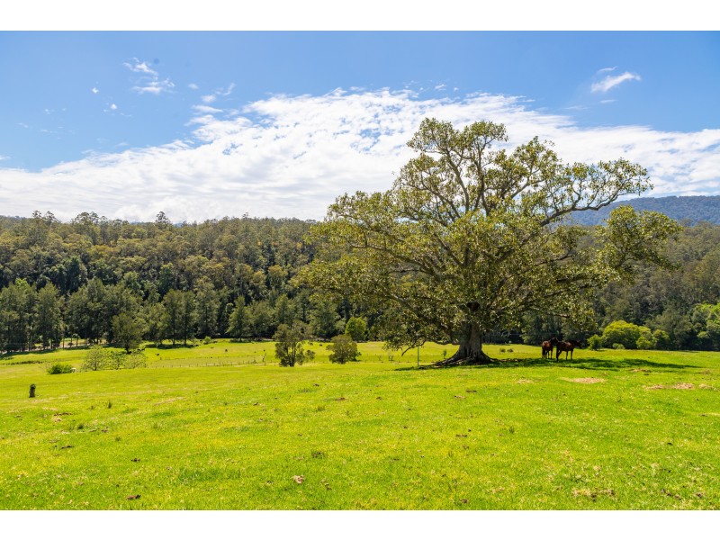 34 Longbottom Road, Chichester Via, Dungog NSW 2420