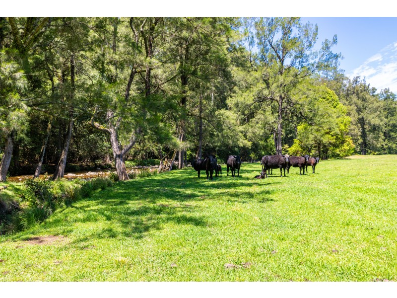 34 Longbottom Road, Chichester Via, Dungog NSW 2420