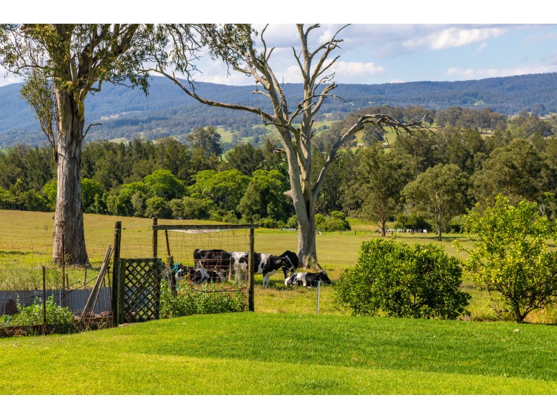 54 Dowlings Road, Bandon Grove Via, Dungog NSW 2420