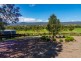 54 Dowlings Road, Bandon Grove Via, Dungog NSW 2420