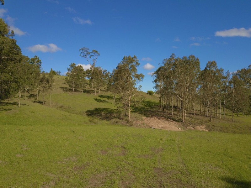 Lot 207 Clarence Town Road, Dungog NSW 2420