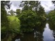 2207 Allyn River Road, Eccleston Via, East Gresford NSW 2311