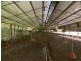 582 Mill Creek Road, Stroud NSW 2425