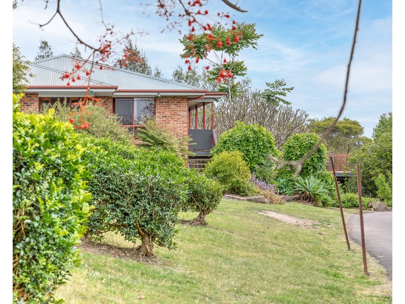 36 Short Street, Dungog NSW 2420