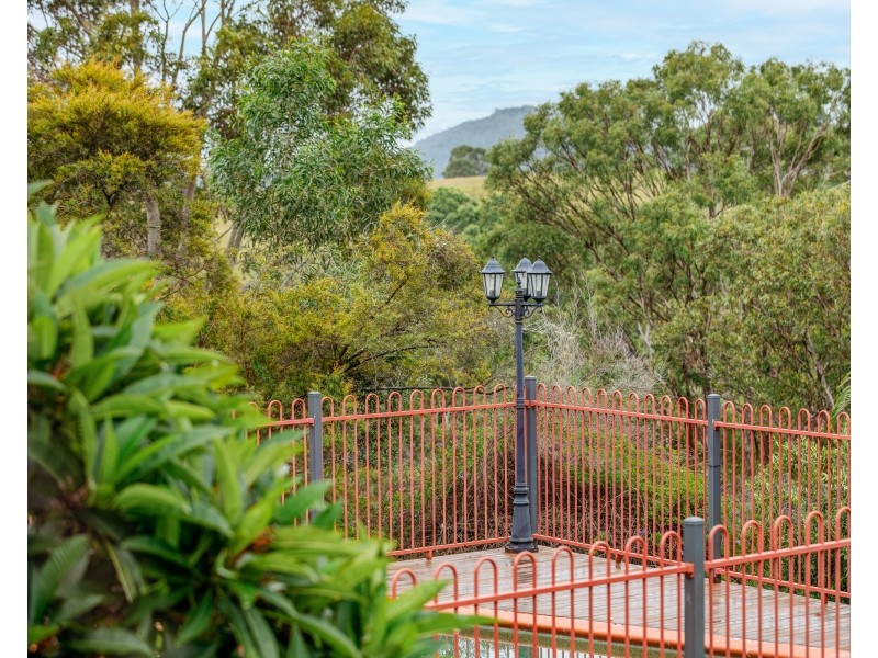 36 Short Street, Dungog NSW 2420