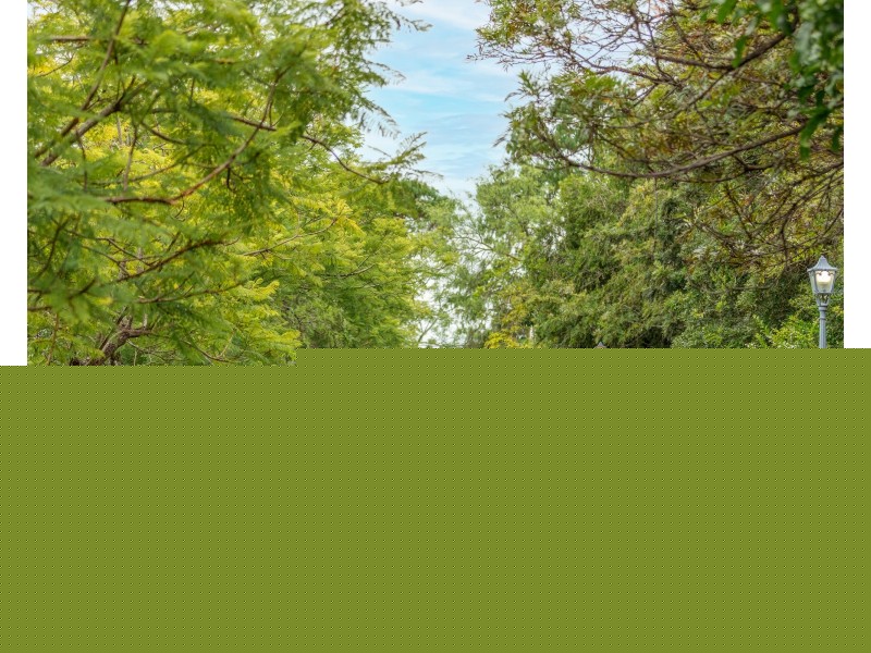 36 Short Street, Dungog NSW 2420