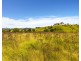 116 Allyn River Road, East Gresford NSW 2311