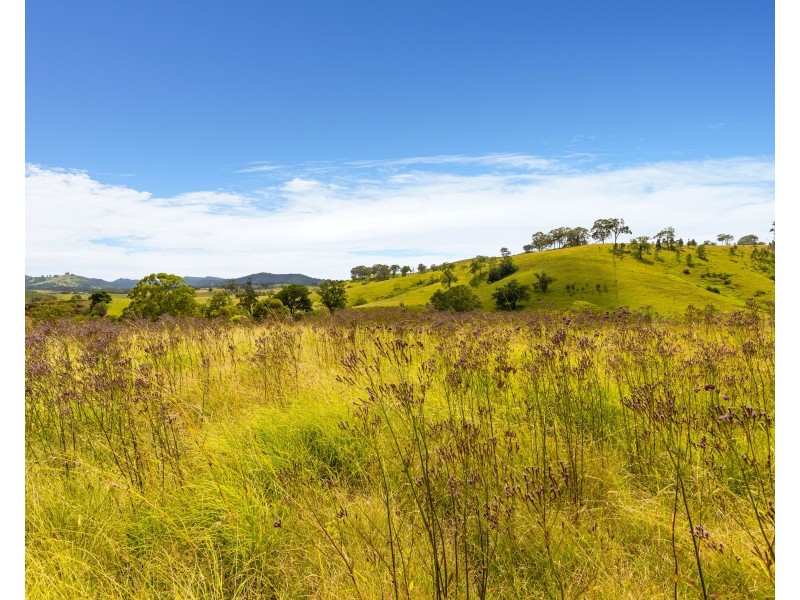 116 Allyn River Road, East Gresford NSW 2311