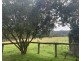 113 Hilldale Road, HILLDALE, Dungog NSW 2420