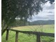 113 Hilldale Road, HILLDALE, Dungog NSW 2420