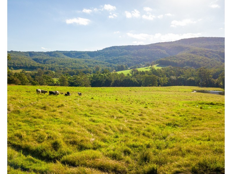 102/538 Main Creek Road, Main Creek Via, Dungog NSW 2420