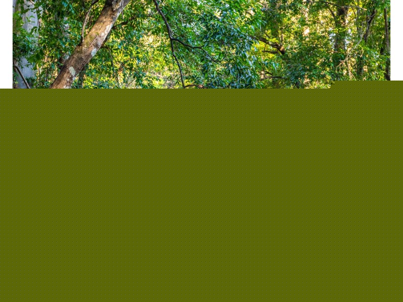 102/538 Main Creek Road, Main Creek Via, Dungog NSW 2420