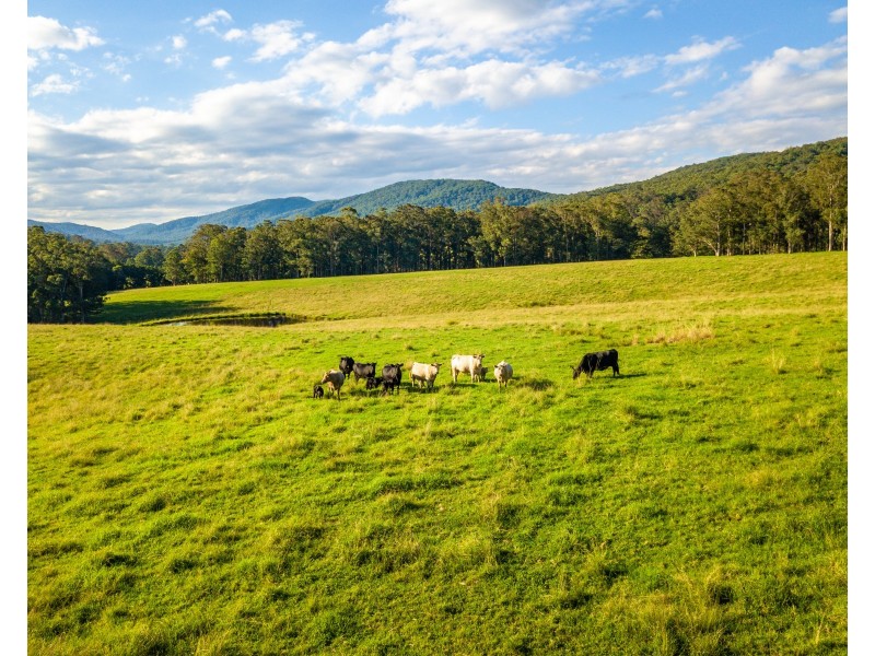 102/538 Main Creek Road, Main Creek Via, Dungog NSW 2420