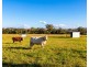 1741 Dungog Road, Wallarobba Via, Dungog NSW 2420