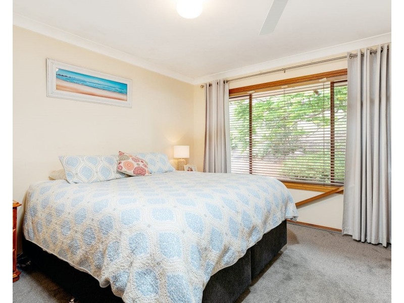 36 Short Street, Dungog NSW 2420