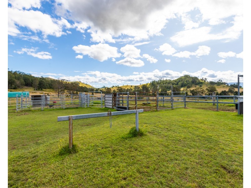 313 Salisbury Road, Munni Via, Dungog NSW 2420