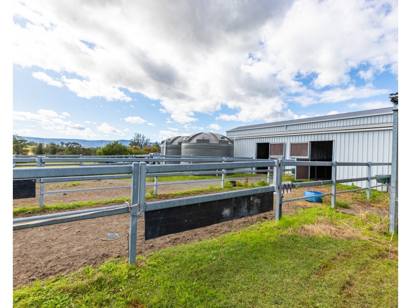 313 Salisbury Road, Munni Via, Dungog NSW 2420