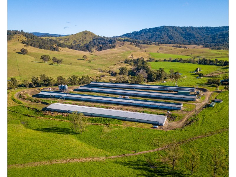 376-399 Paterson River Road, Gresford NSW 2311
