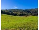 376-399 Paterson River Road, Gresford NSW 2311