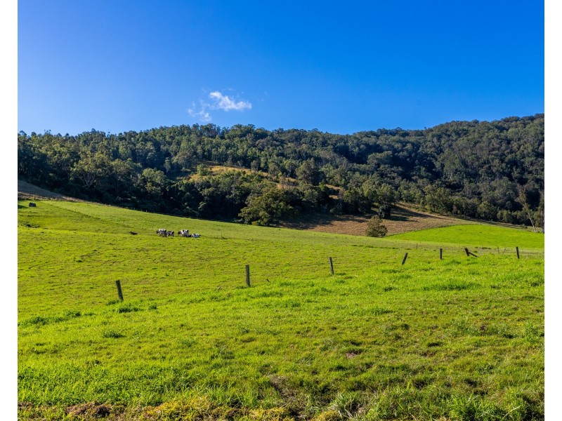 376-399 Paterson River Road, Gresford NSW 2311