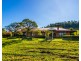 376-399 Paterson River Road, Gresford NSW 2311