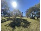 Dungog NSW 2420