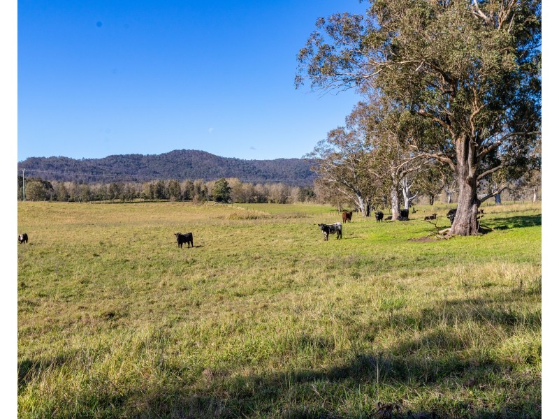 220 Gresford Road, Paterson NSW 2421