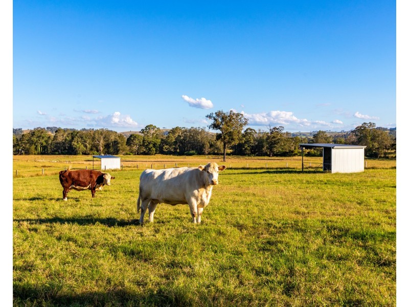 Dungog NSW 2420