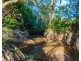 Dungog NSW 2420