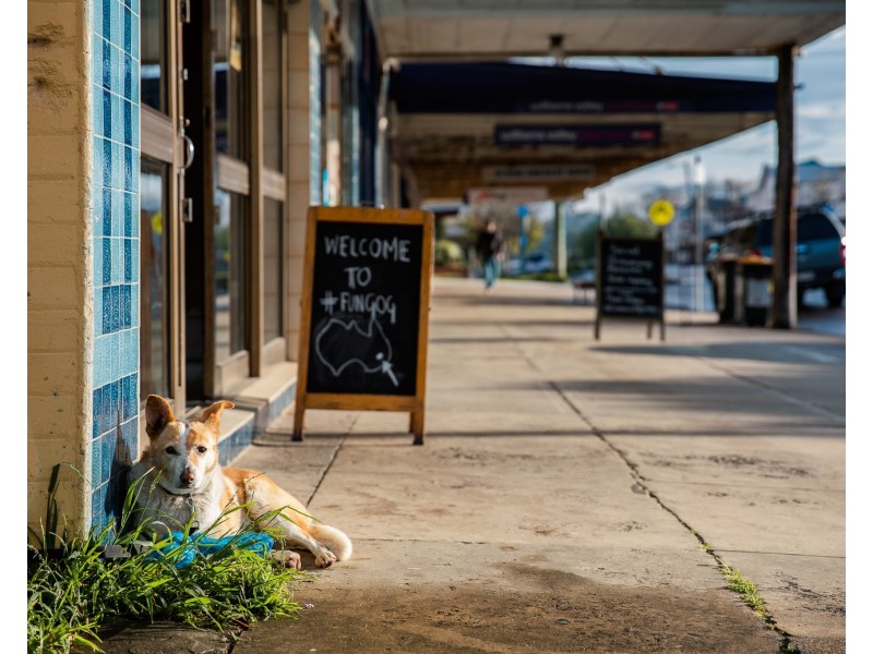 172 Dowling Street, Dungog NSW 2420