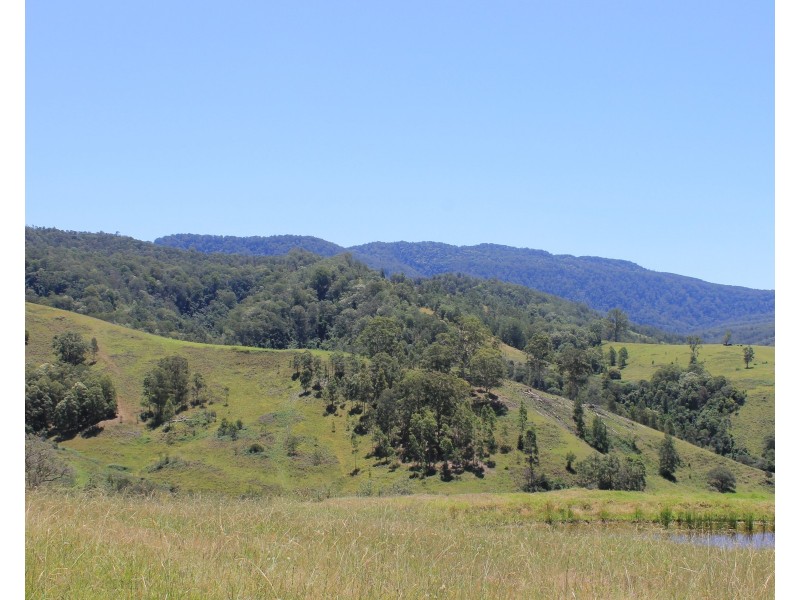 545 Masseys Creek Road Eccleston Via, East Gresford NSW 2311