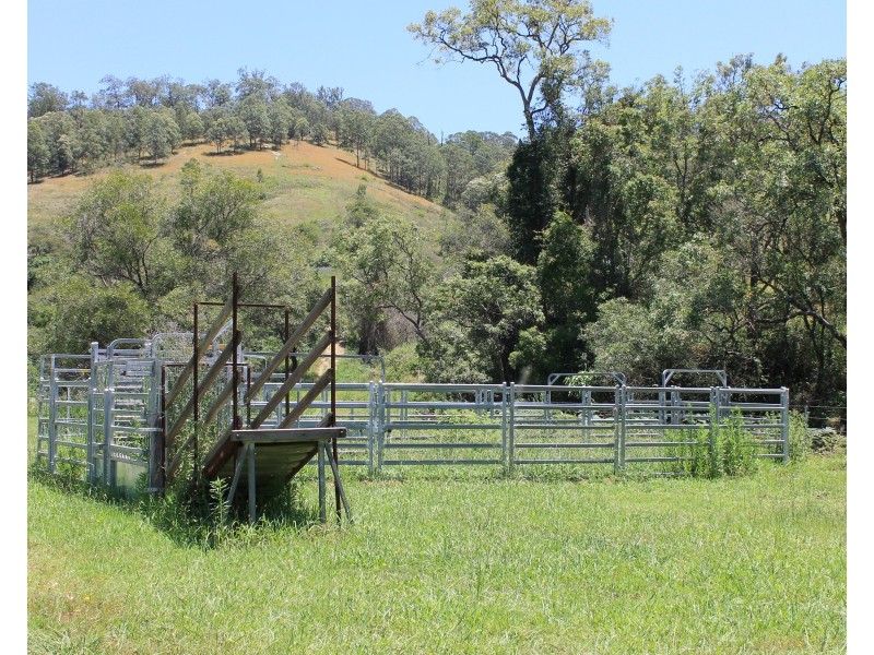 545 Masseys Creek Road Eccleston Via, East Gresford NSW 2311