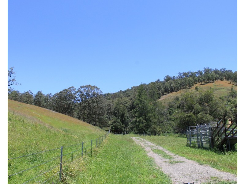 545 Masseys Creek Road Eccleston Via, East Gresford NSW 2311