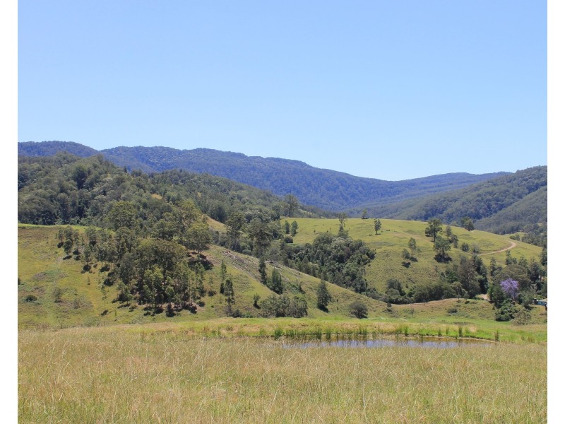 545 Masseys Creek Road Eccleston Via, East Gresford NSW 2311