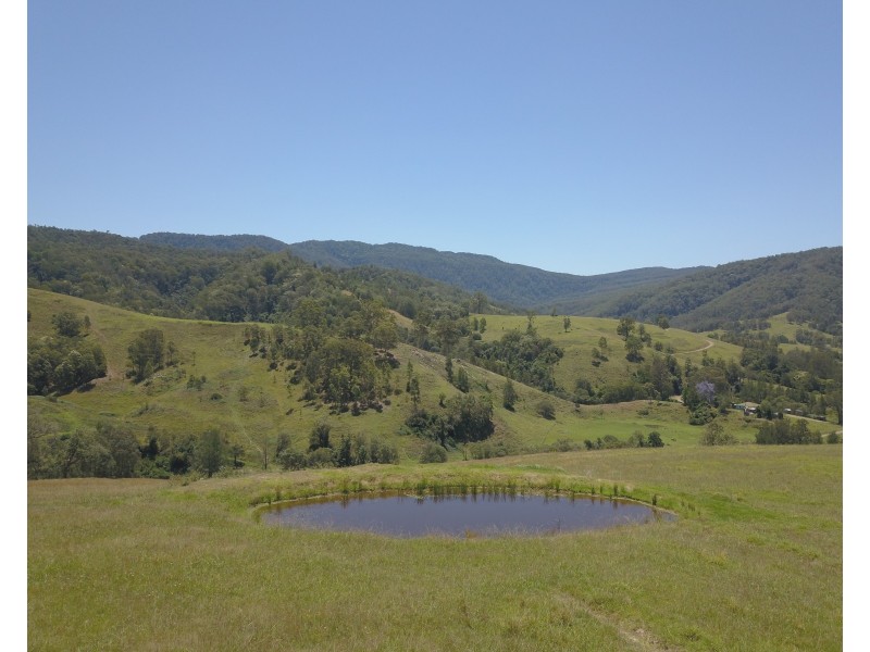 545 Masseys Creek Road Eccleston Via, East Gresford NSW 2311