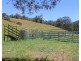 545 Masseys Creek Road Eccleston Via, East Gresford NSW 2311