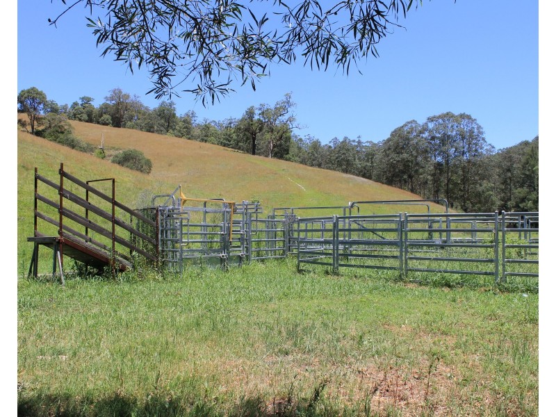 545 Masseys Creek Road Eccleston Via, East Gresford NSW 2311