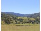 545 Masseys Creek Road Eccleston Via, East Gresford NSW 2311