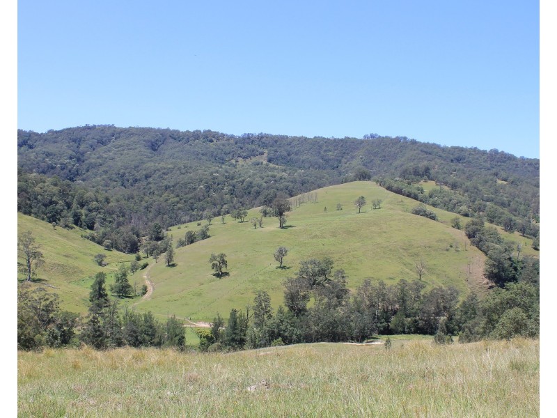 545 Masseys Creek Road Eccleston Via, East Gresford NSW 2311