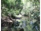 545 Masseys Creek Road Eccleston Via, East Gresford NSW 2311