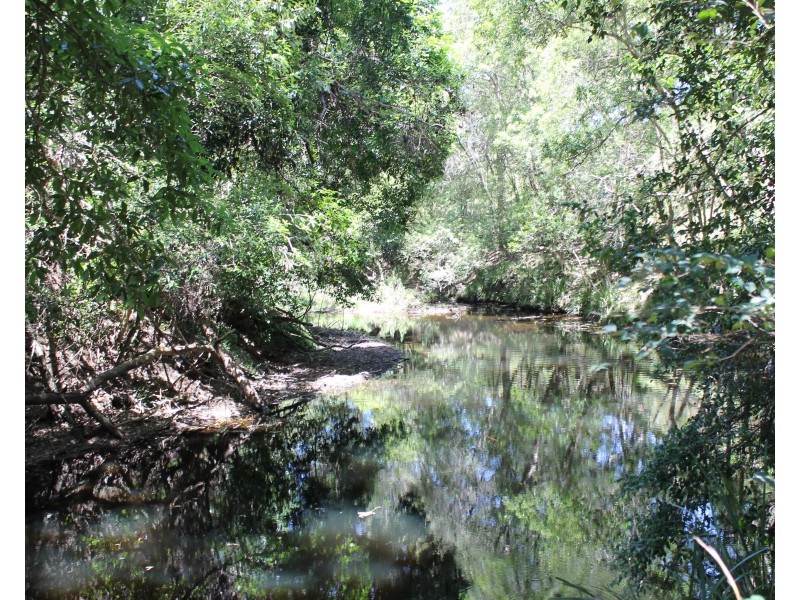 545 Masseys Creek Road Eccleston Via, East Gresford NSW 2311