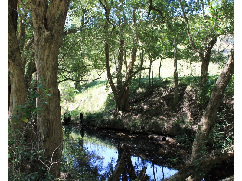 545 Masseys Creek Road Eccleston Via, East Gresford NSW 2311