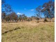 1910 Salisbury Road, Salisbury Via, Dungog NSW 2420