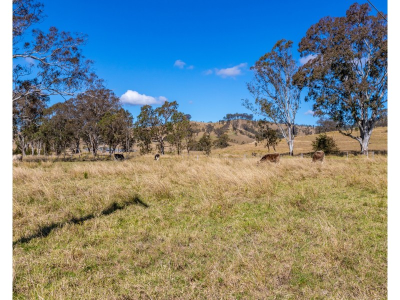 1910 Salisbury Road, Salisbury Via, Dungog NSW 2420